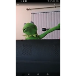 Kermit the frog memes