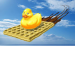 Waffle and DUCK nest