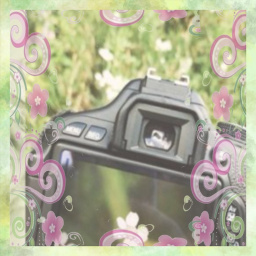 ✩°⋆🌿. ⋆⸜ 🍵✮˚
