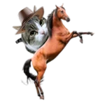 Cowboy Wawa
