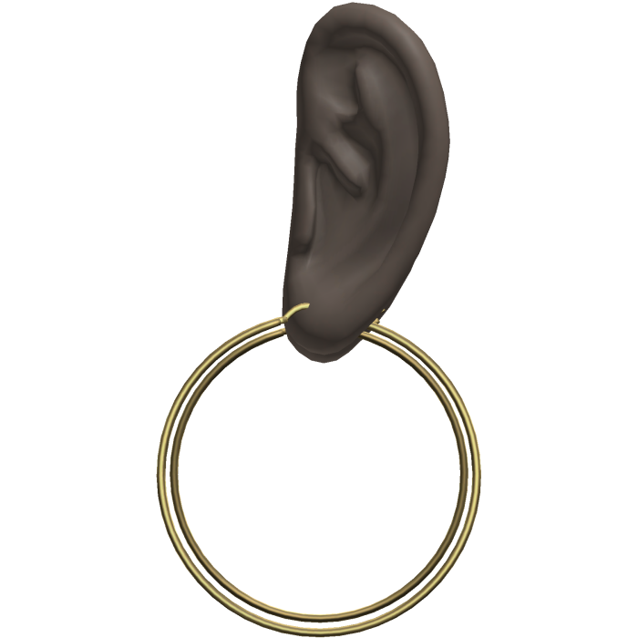 Gold Thin Hoop Earrings Ears