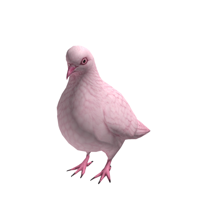 Pink Pigeon Suit