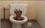 The goofy Skibidi toilet group