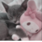 Gizmo Pixels <3