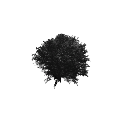[FREE]50% Dead tree