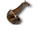 Snaraffe Studios