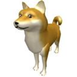 la vie de chien