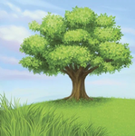 The Modern Tree