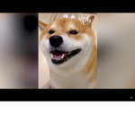 The doge army club