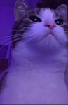 JELLY-SQUAD Group Thumbnail