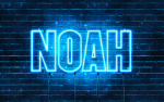 Noah’s og group