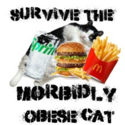 Survive The Morbidly Obese IT