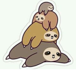 love sloth squad