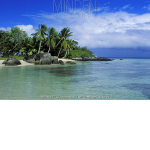 island (SHOWCASE)