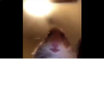 Look a meme
