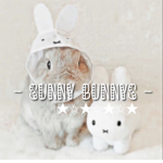 - Sunny Bunnies -