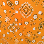 Clothing EmpireX