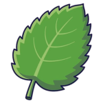 Mint Productions