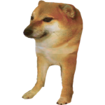 i give robux no scam monkë