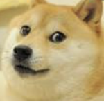 Doge_gang$