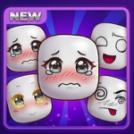 SIBI 2D FACES