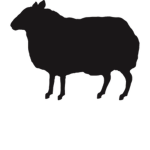 Sheep ®