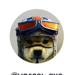 Doge doge doge studios