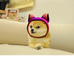 Bricky Doge Studios