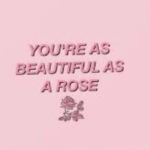 DreamingRose Fan Club