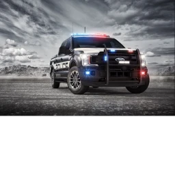 police cars and trucks and a swat van icon