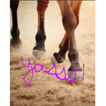ANDALUSIAN GROUP