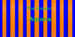 The chosen Alpaca
