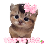 ୨ৎChobwit
