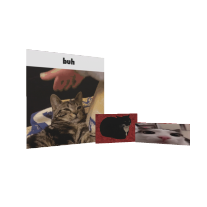 Funny Cat Gifs