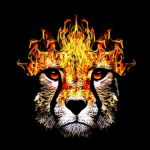 FireCheetah Fan Group