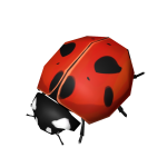 Ladybird Hat