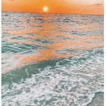 Izzys Shoreline
