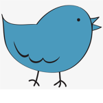 the birds.