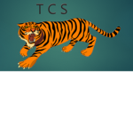 Tiger Corp Studios