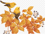The Butterfly Army!!!