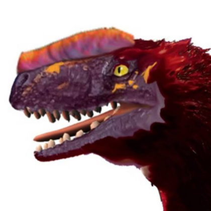 ProC Community avatar