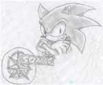 Sonic RP fanz