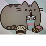 Cat’s United!