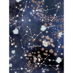 ~|Zodiac Signs|~