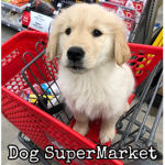 Dog SuperMarket