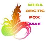 The MAF Video Game Company