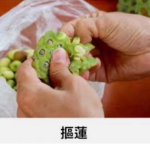 XiaoR小日的粉絲群