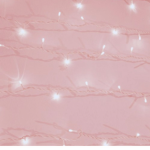 Alli’s aesthetic world