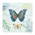 butterflies ୨୧