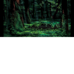 ~ Forests Snakes ~